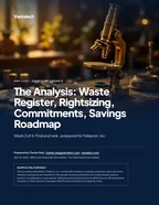 First page of The Analysis: Waste Register, Rightsizing, Commitments, Savings Roadmap: sample engagement report, 39 pages, PDF