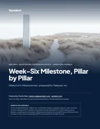 First page of Week-Six Milestone, Pillar by Pillar: sample engagement report, 14 pages, PDF